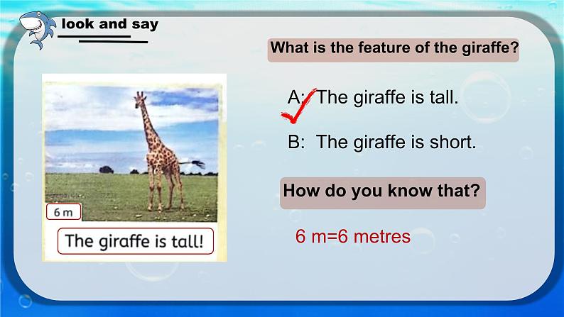 Unit 3 Amazing animals Start to read & Reading time（课件）-2024-2025学年人教PEP版（2024）英语三年级上册08