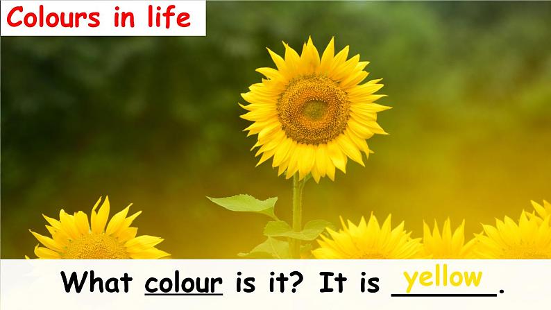 Unit 3 Colours and letters Lesson 2 What colour is it（课件+素材）冀教版（三起）英语三年级上册04