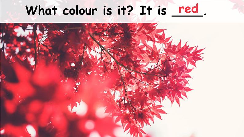 Unit 3 Colours and letters Lesson 2 What colour is it（课件+素材）冀教版（三起）英语三年级上册07