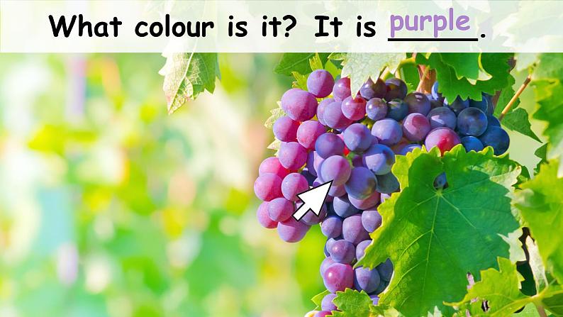 Unit 3 Colours and letters Lesson 2 What colour is it（课件+素材）冀教版（三起）英语三年级上册08