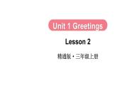 Unit 1 Greetings Lesson 2  课件