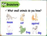 新牛津上海版（三起）英語(yǔ)三年上冊(cè)--Unit 6 What do we like about small animals （Communicate）（課件+素材）