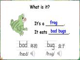 新牛津上海版（三起）英語(yǔ)三年上冊(cè)--Unit 6 What do we like about small animals （Explore ）（課件+素材）