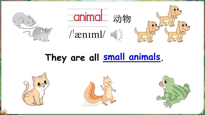 新牛津上海版（三起）英语三年上册--Unit 6 What do we like about small animals （Explore ）（课件+素材）08