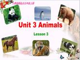 人教版（新起点）小学英语五年级上册 Unit3 Animals Lesson3 课件