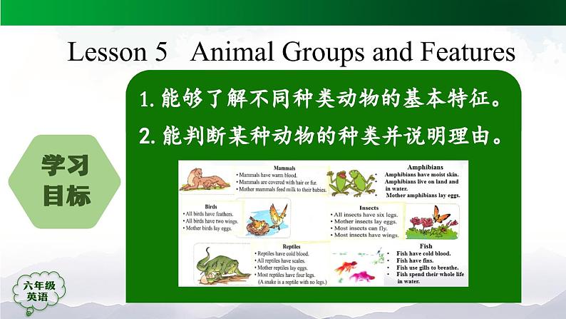 人教版（新起点）小学英语六年级上册 Unit 3 Animal World第五课时课件第2页