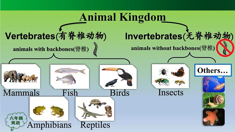 人教版（新起点）小学英语六年级上册 Unit 3 Animal World第五课时课件第4页