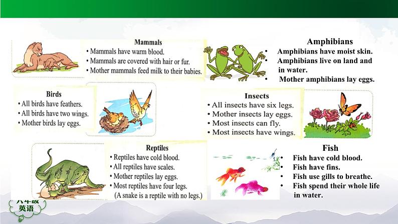 人教版（新起点）小学英语六年级上册 Unit 3 Animal World第五课时课件第7页