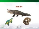 人教版（新起点）小学英语六年级上册 Revision 1第三课时课件