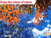 Unit 2 Colourful world 第1课时（Ready to learn）（课件+素材）-2024-2025学年Join in 外研剑桥英语三年级上册