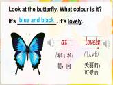 Unit 2 Colourful world 第3课时（Language in use & Let's do ）（课件+素材）-2024-2025学年Join in 外研剑桥英语三年级上册