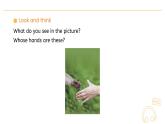 Unit 3  Amazing animals   Part A Let’s talk  Lesson 1课件
