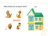 Unit 3  Amazing animals   Part A Let’s talk  Lesson 1课件