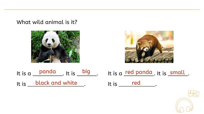 Unit 3  Amazing animals  PartB Let’s learn Lesson 5  课件06