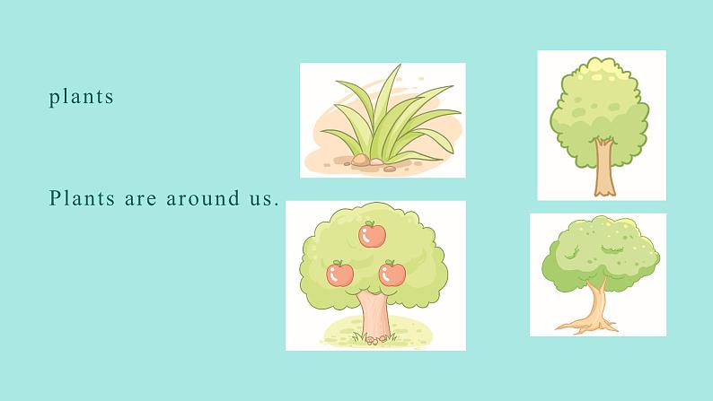 Unit 4 Plants around us PartA(1) Let’s talk 课件04