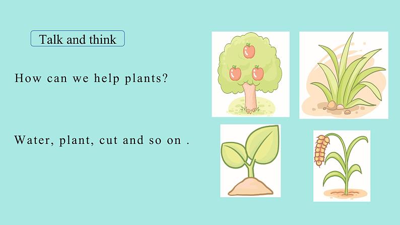 Unit 4 Plants around us Part B Let’s talk & Look and discuss课件05