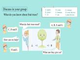 Unit 4 Plants around us Part C Project ~Reading time 課件