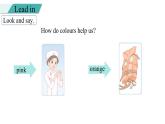 Unit 5 The colourful world PartB(3) Start to read课件