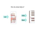 Unit 5 The colourful world PartB(3) Start to read课件