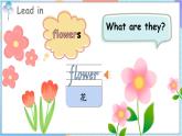 Unit 3 Colors Around Us Lesson 4 They are colorful flowers（课件+素材）-2024-2025学年闽教版（2024）英语三年级上册