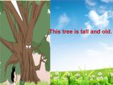外研版（一起）六上Module 1《Unit 2 It’s more than four hundred metres high》ppt課件1