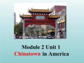 外研版（一起）六上Module 2《Unit 1 I went to Chinatown in New York yesterday》ppt課件1