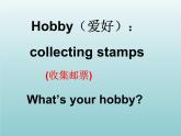 外研版（一起）六上Module 3《Unit 1 Have you got any stamps from China》ppt课件3