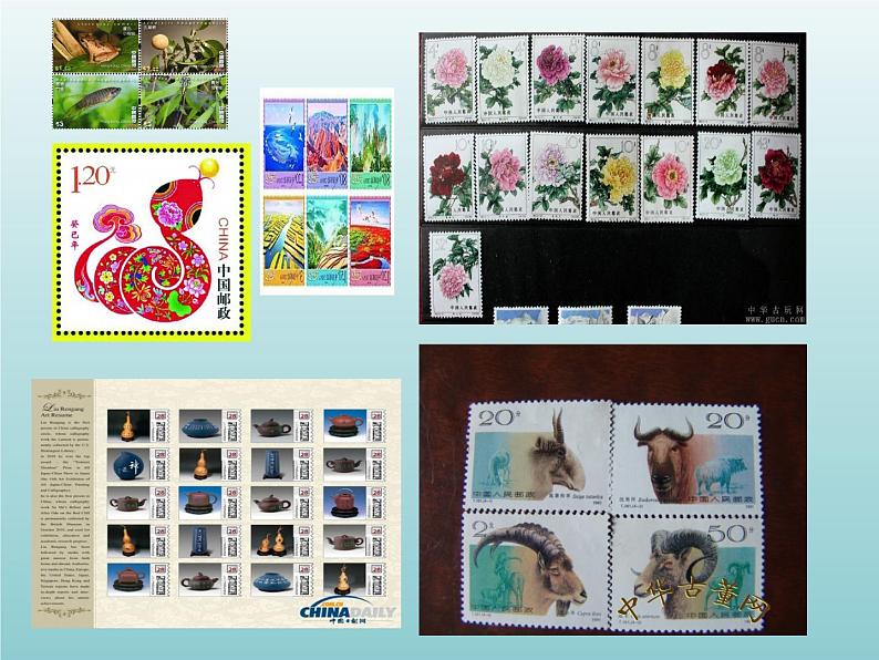 外研版（一起）六上Module 3《Unit 2 Collecting stamps is my hobby》ppt课件505