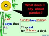 外研版（一起）六上Module 7《Unit 1 Pandas love bamboo》ppt课件3
