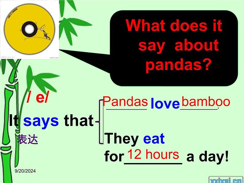 外研版（一起）六上Module 7《Unit 1 Pandas love bamboo》ppt课件3第5页