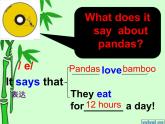 外研版（一起）六上Module 7《Unit 1 Pandas love bamboo》ppt课件3