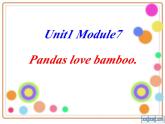外研版（一起）六上Module 7《Unit 1 Pandas love bamboo》ppt课件4