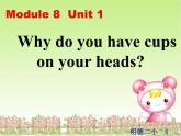 外研版一起小學(xué)英語六下《Module 8Unit 1 Why do you have cups on your heads_》PPT課件