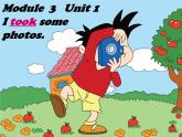 外研版一起小学英语六下《Module 3Unit 1 I took some photos.》PPT课件 (3)