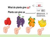 人教版PEP（2024）三年級英語上冊Unit 4 B 第4課時Start to read教學(xué)課件