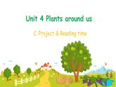 人教版PEP（2024）三年級英語上冊Unit 4 C 第5課時 Project & Reading time教學課件
