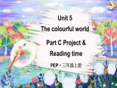 人教版PEP（2024）三年級(jí)英語(yǔ)上冊(cè)Unit 5 C 第6課時(shí)Project & Reading time教學(xué)課件