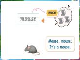 【新教材】滬教牛津版（六三制一起）英語(yǔ)三年級(jí)上冊(cè) Unit 6 What do we like about small animals 第1課時(shí) Get ready （課件+素材）