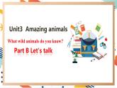 人教pep版英语三年级上册Unit3 Amazing animals Part B Let's talk课件+单元整体设计+素材