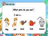 人教版PEP（2024）英语三年级上册--Unit3 Amazing animals A Let’s learn（课件+素材）