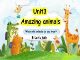 人教版PEP（2024）英语三年级上册--Unit3 Amazing animals B Let’s talk（课件+素材）