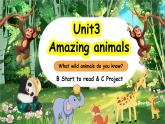 人教版PEP（2024）英语三年级上册--Unit3 Amazing animals B start to read & C project（课件+素材）