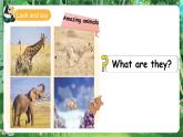人教版PEP（2024）英语三年级上册--Unit3 Amazing animals B start to read & C project（课件+素材）