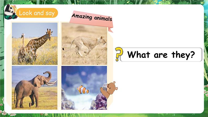 人教版PEP（2024）英语三年级上册--Unit3 Amazing animals B start to read & C project（课件+素材）04