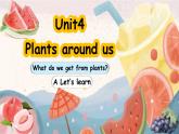 人教版PEP（2024）英语三年级上册--Unit4 Plants around us A Let’s learn（课件+素材）