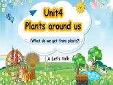人教版PEP（2024）英语三年级上册--Unit4 Plants around us A Let’s talk（课件+素材）