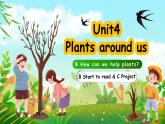 人教版PEP（2024）英語三年級上冊--Unit4 Plants around us B Start to read & C Project（課件+素材）