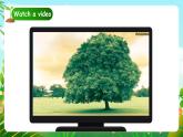 人教版PEP（2024）英語三年級上冊--Unit4 Plants around us B Start to read & C Project（課件+素材）