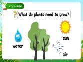 人教版PEP（2024）英語三年級上冊--Unit4 Plants around us B Start to read & C Project（課件+素材）