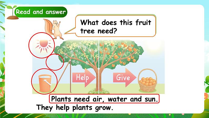 人教版PEP（2024）英语三年级上册--Unit4 Plants around us B Start to read & C Project（课件+素材）06